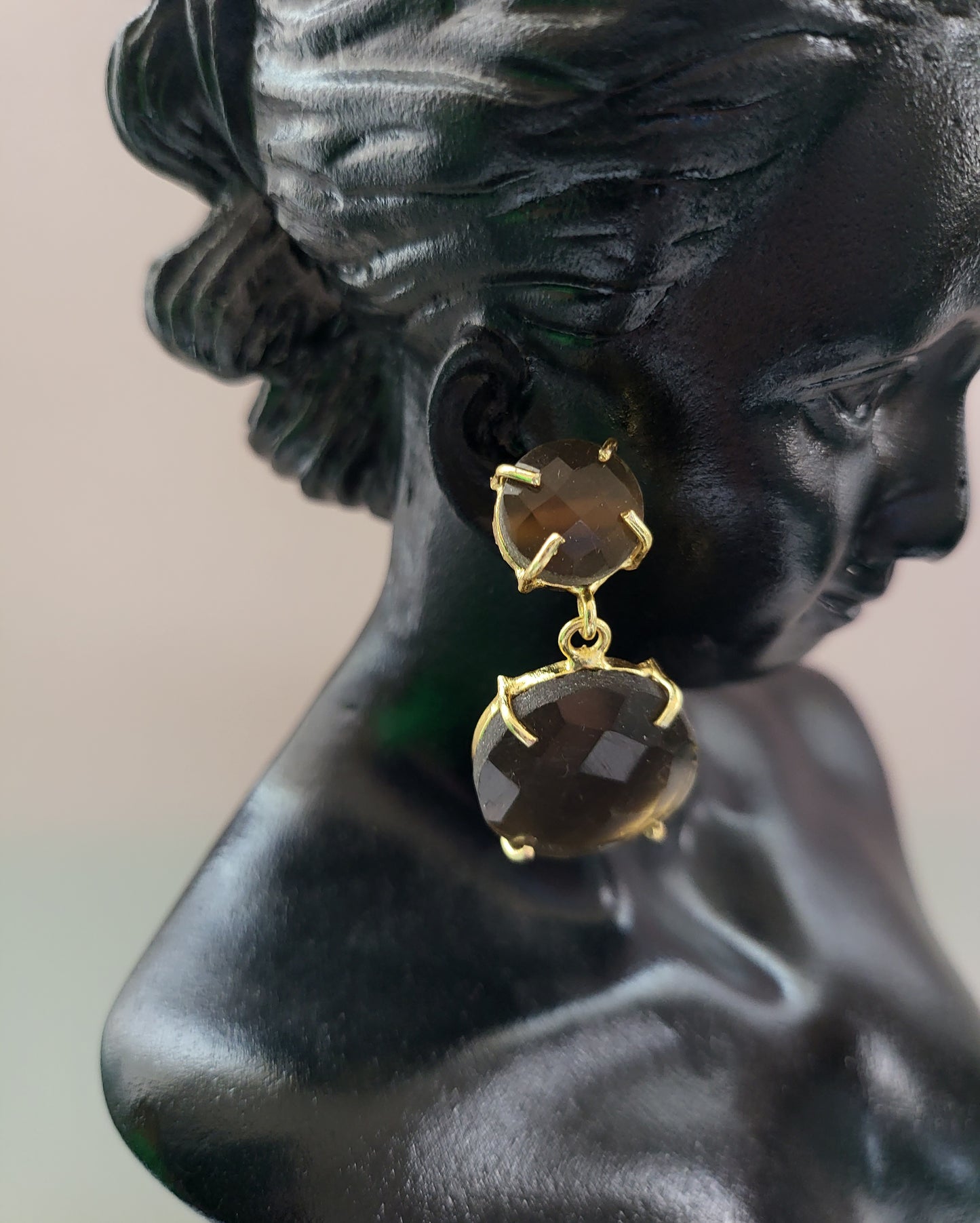Brown Beauty Earrings